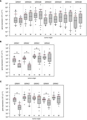 A glutamatergic biomarker panel enables differentiating Grade 4 gliomas/astrocytomas from brain metastases